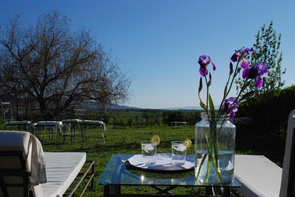 온티니엔트 Casa Rural Morera 게스트하우스 외부 사진